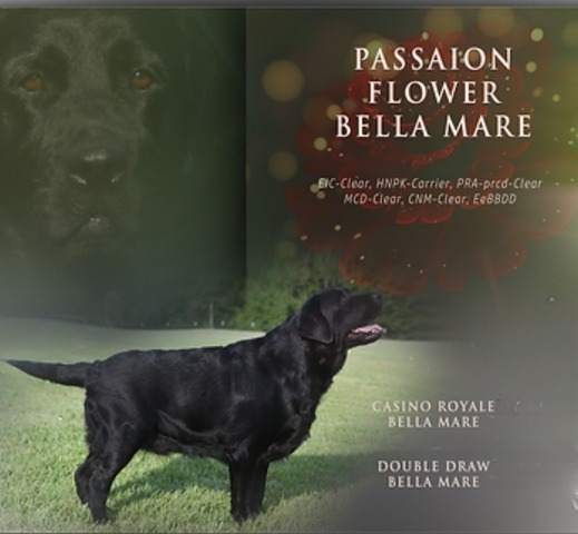 2025-02-23-20-53-40-787