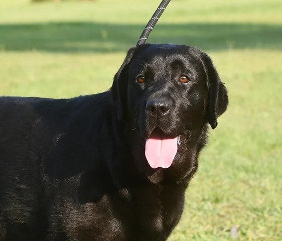 2025-02-23-20-56-46-510