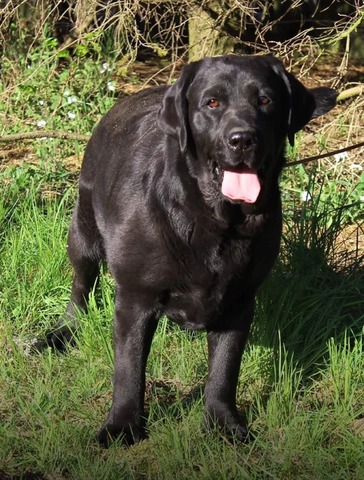 2025-02-23-20-55-37-739