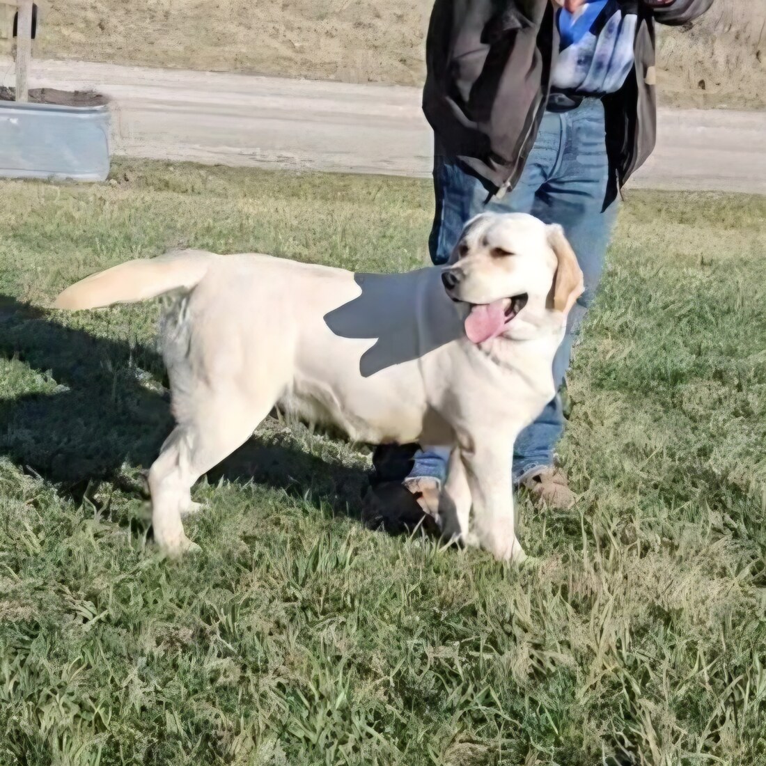 20250316_164756_1(2)