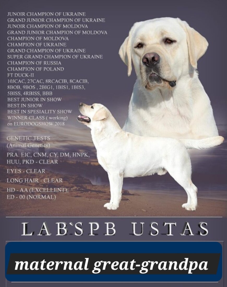 Screenshot_20240824_150509_Chrome