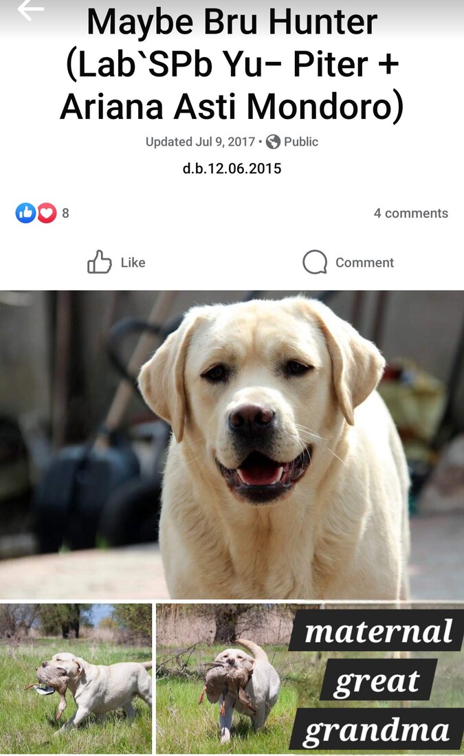 Screenshot_20240910_115410_Facebook