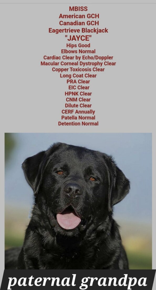 2025-12-27-13-35-20-089