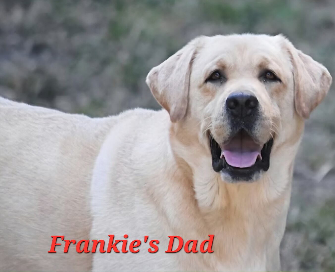 2025-12-15-07-01-32-690