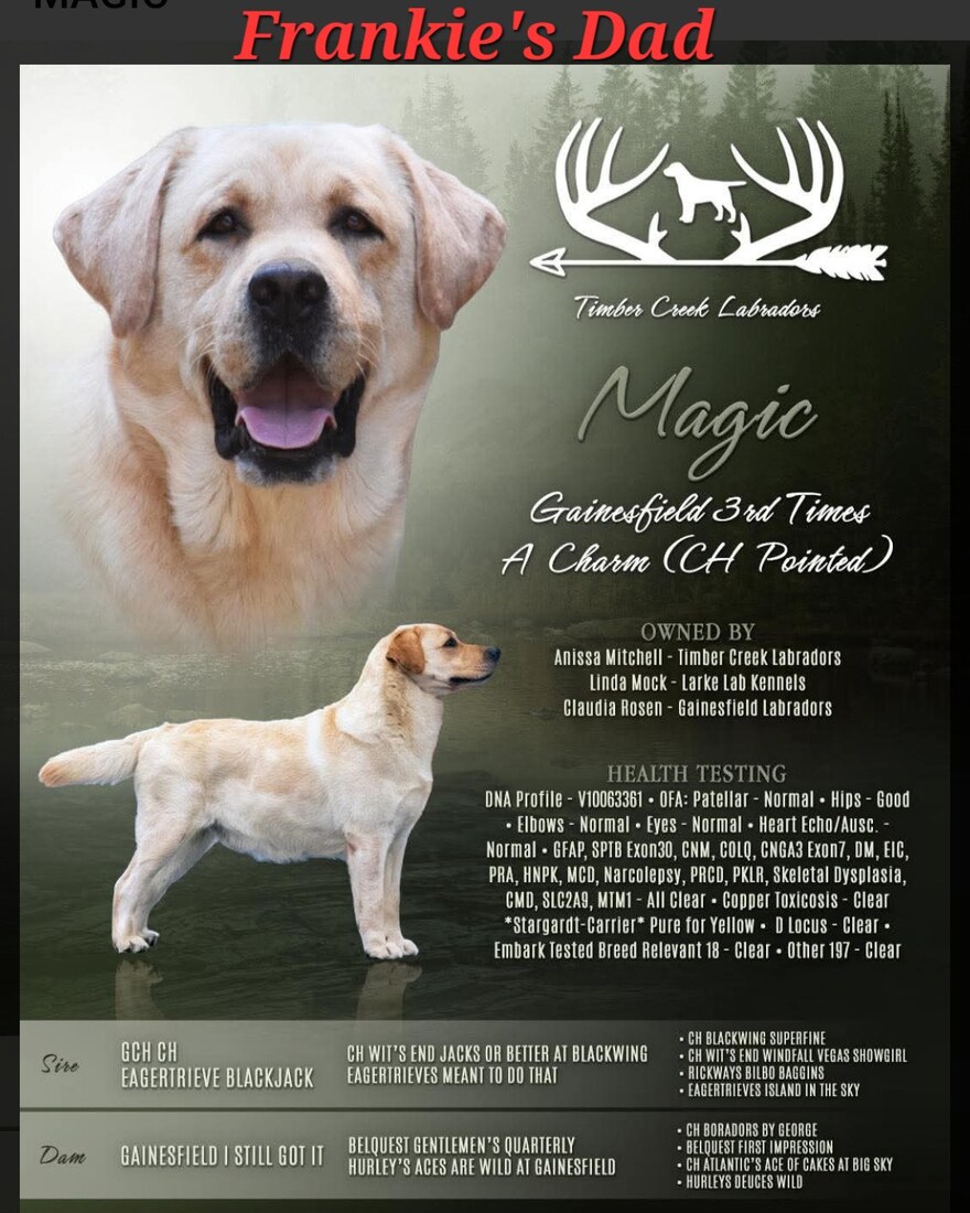 Screenshot_20251213_190938_Facebook