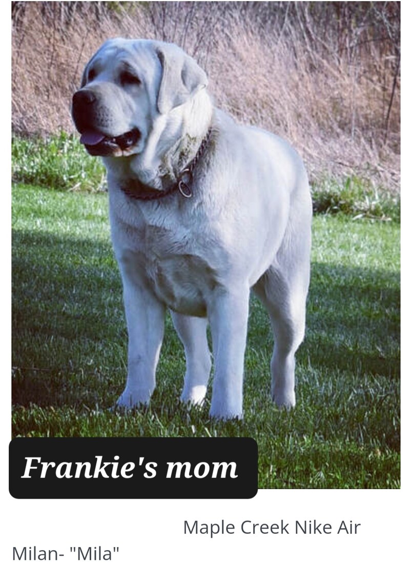 Screenshot_20240917_122928_Chrome