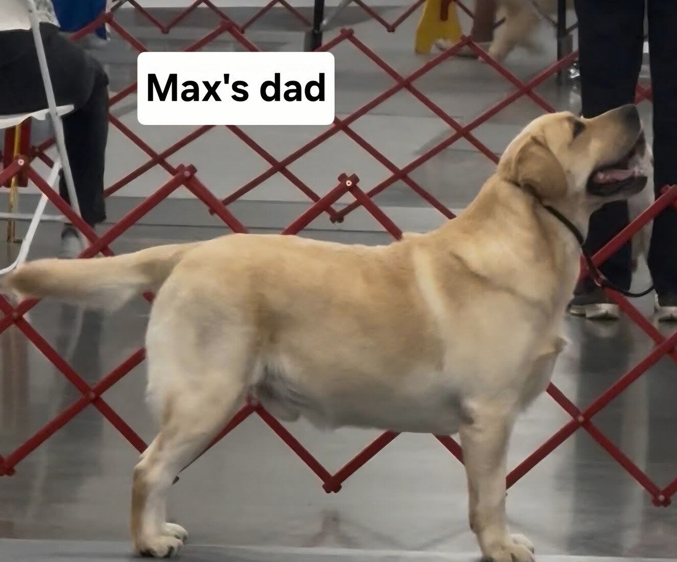 FB_IMG_1769971151395(3)